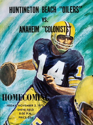 1973 anaheim colonists huntington beach oilers