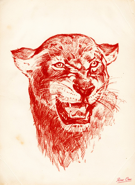 1940s Houston Cougar Art | Row One Print