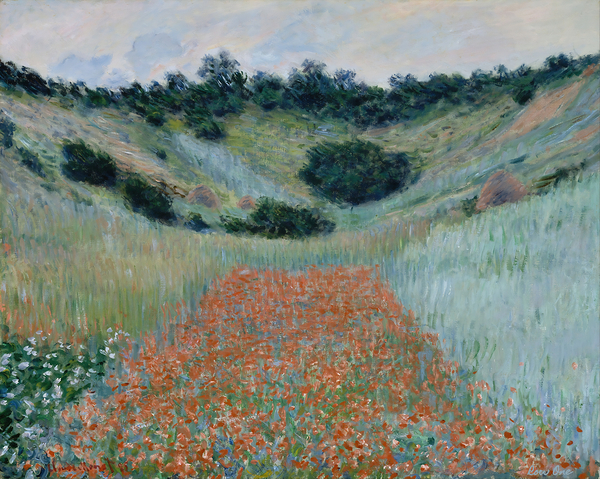 1885 poppy field near giverny monet Print