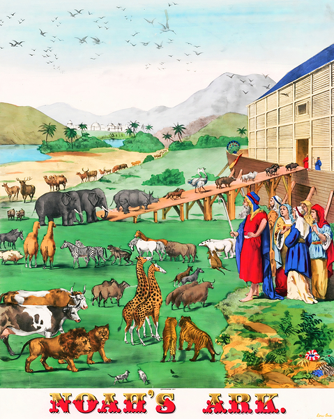 1899 noahs ark arthc tunison Print