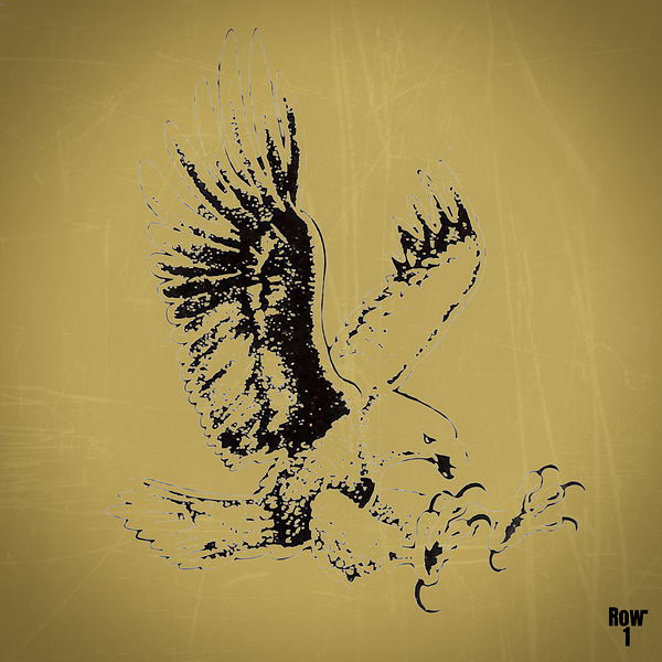 1980s Southern Miss Golden Eagle Print