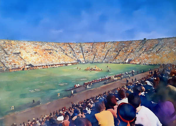 1956 tennessee football gameday Print