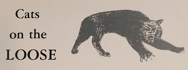 Cats on the Loose Print