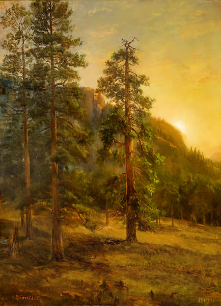 California Redwoods 1872  Print