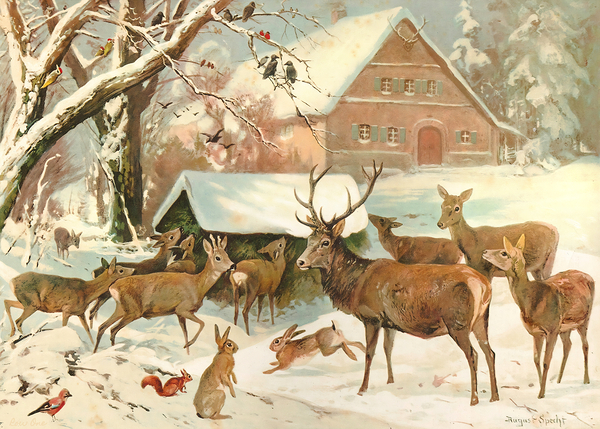 Deer in the Snow 1906 Print