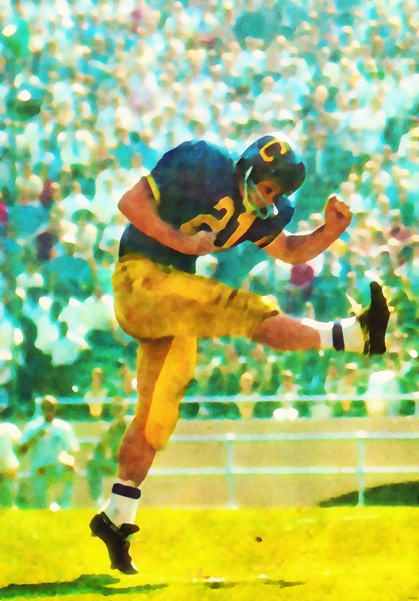 California Bears Watercolor Football Punter Print