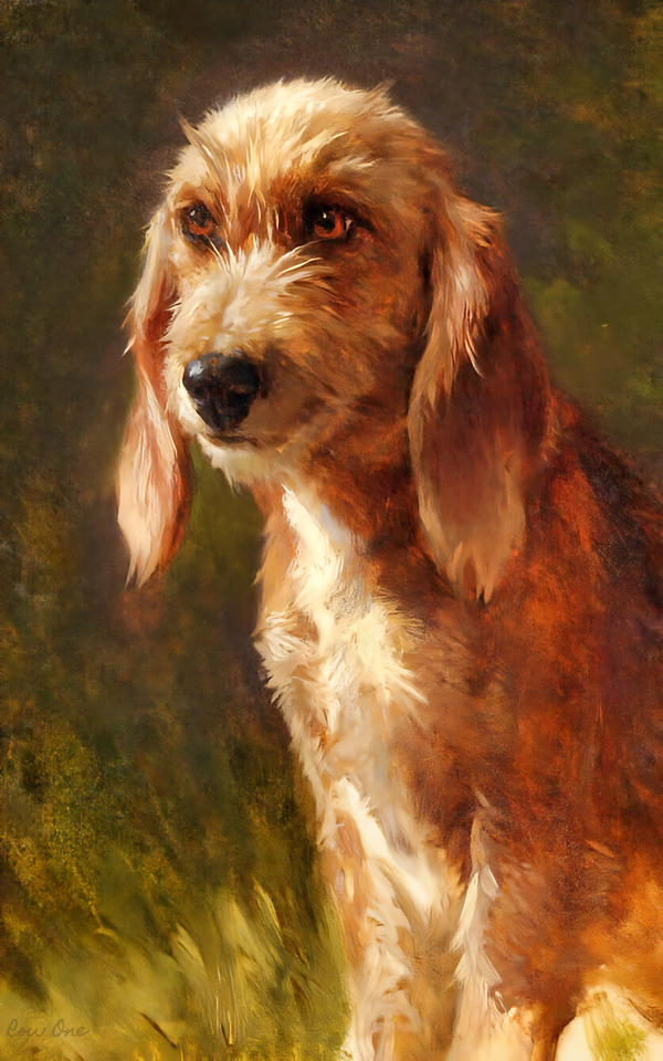 study of a dog rosa bonheur 1860s Print