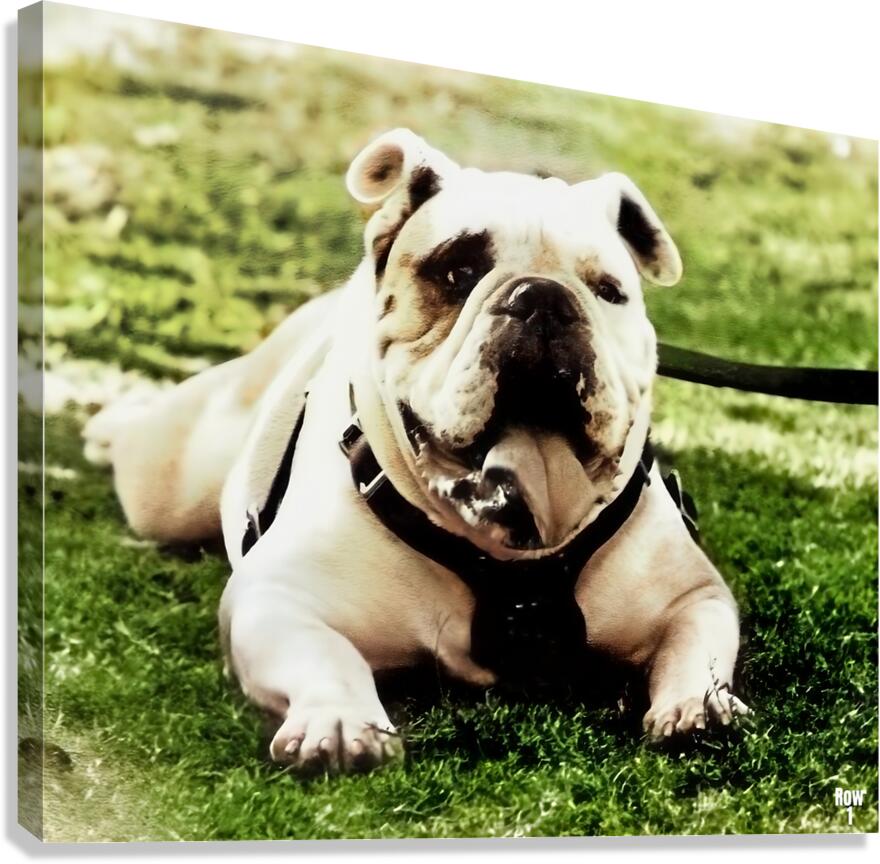 1980s bully mascot art  Canvas Print