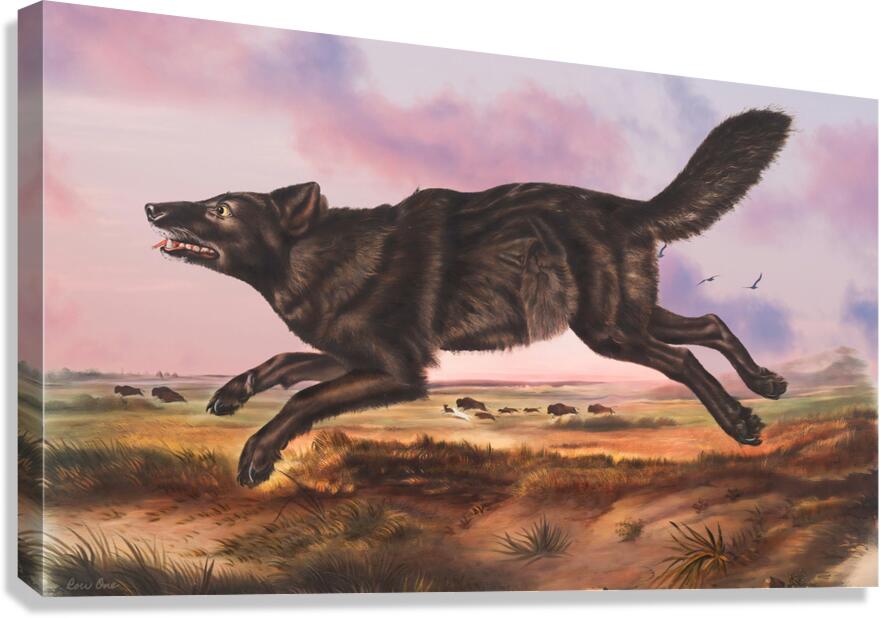 Black American Wolf Canvas Print