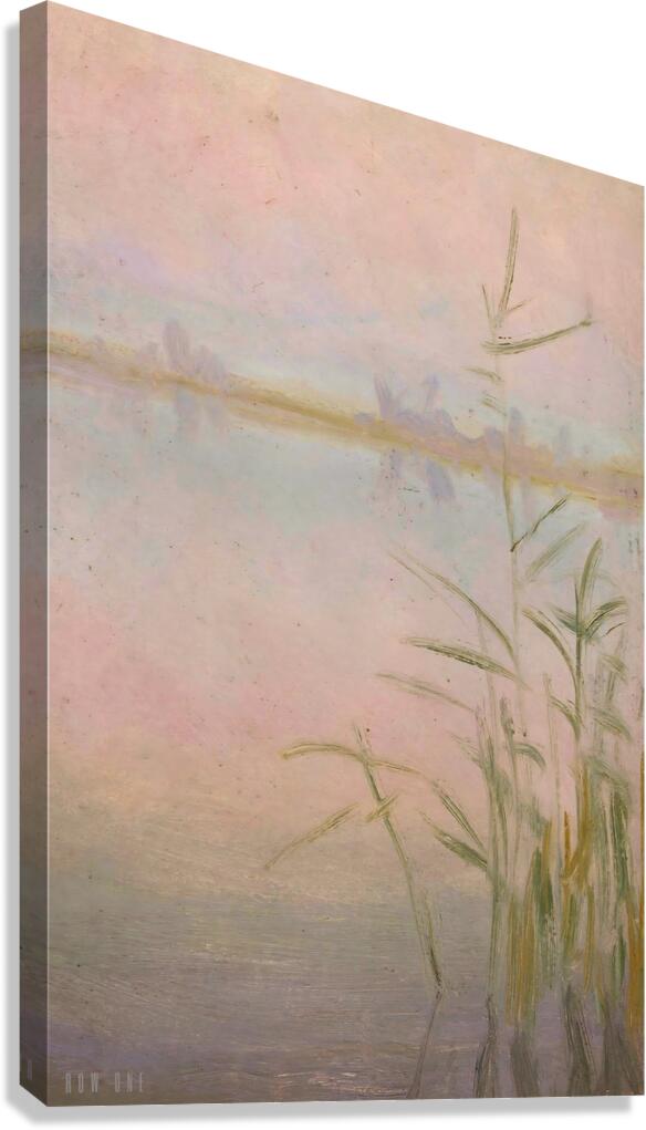 Reeds at the lake 1910  Canvas Print