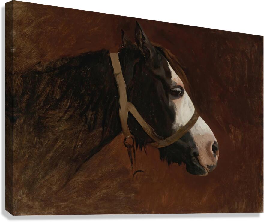 Profile Of A Horse by Jean Leon Gerome  Canvas Print
