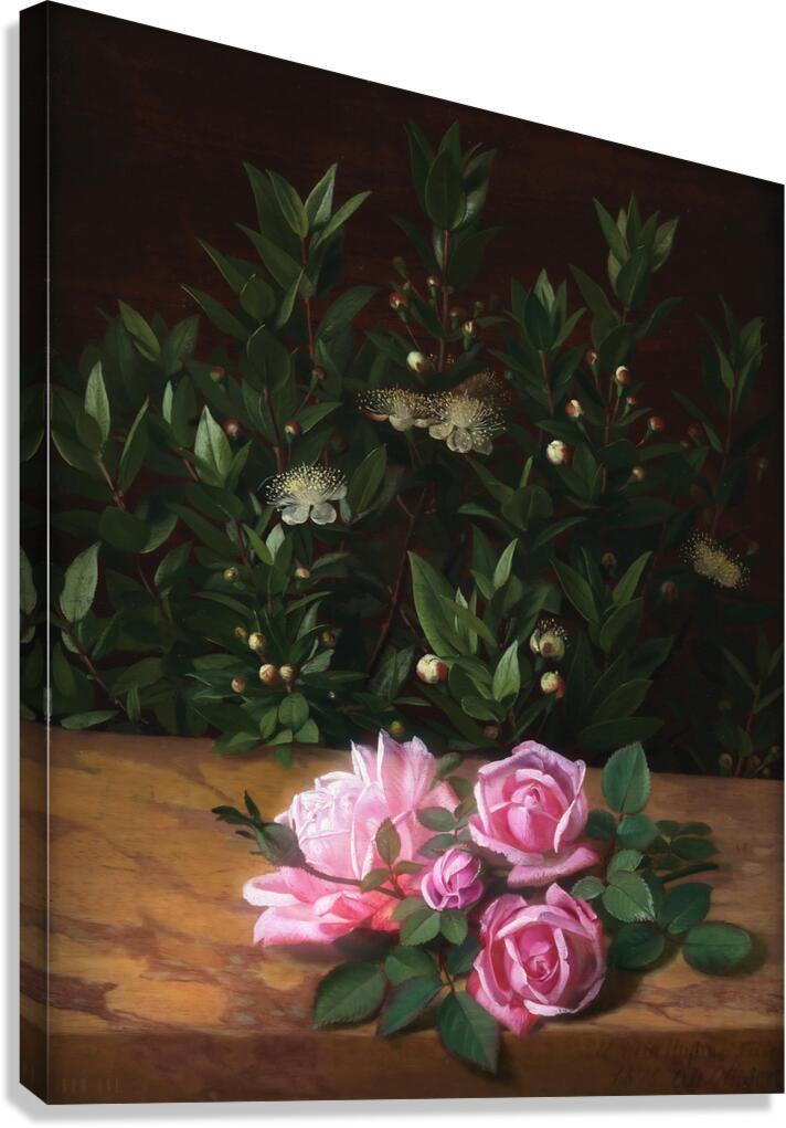 1876 Roses And Myrtles  Canvas Print