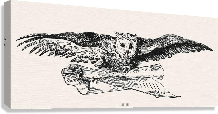 early 1900s owl wingfield Canvas Print