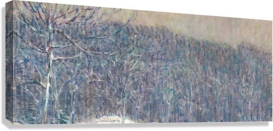 1902 Snowfall Canvas Print