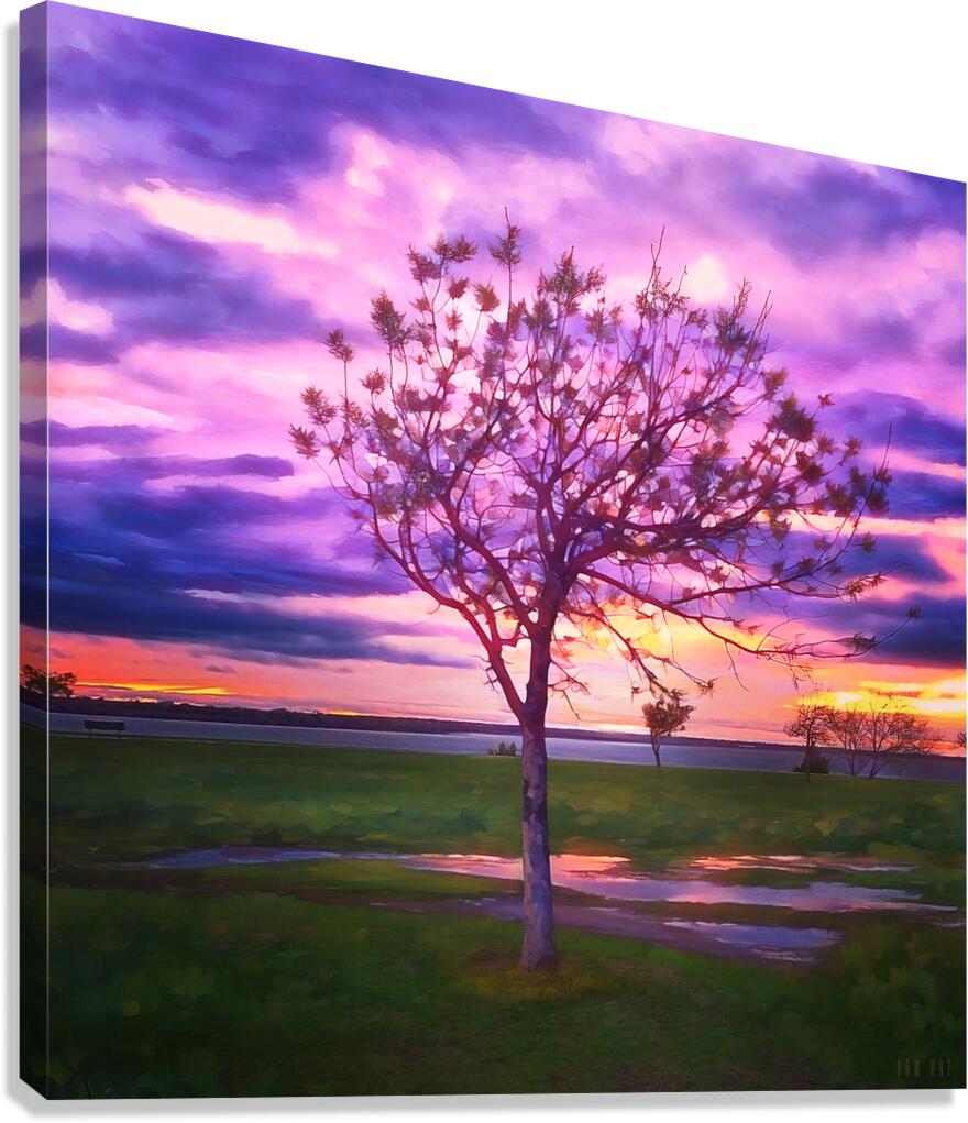 after the rain Canvas Print
