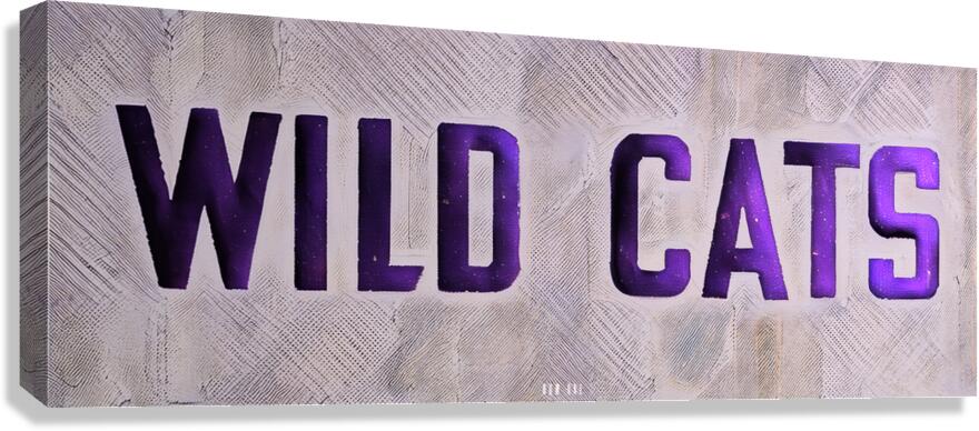 Wild Cats Canvas Print