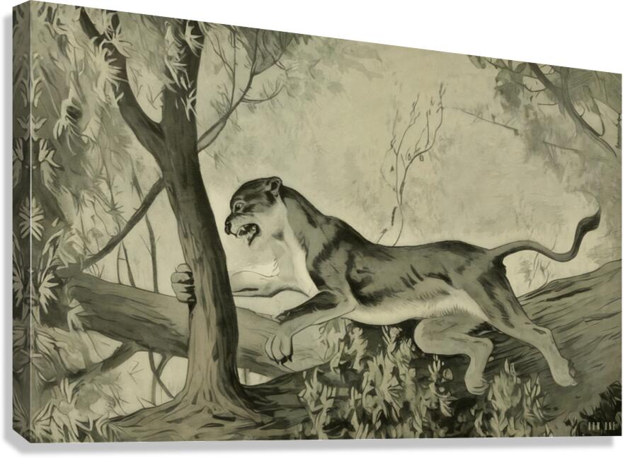 1921 Cat Art Canvas Print