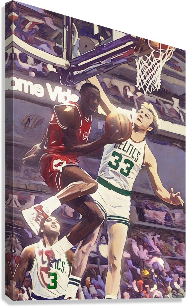 1986 Jordan Reverse Against Bird Canvas Print
