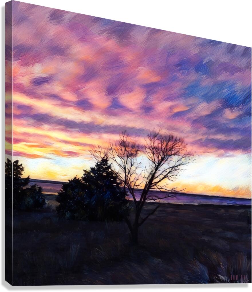 December Sky Canvas Print