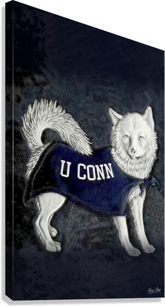 Vintage 1950s Connecticut Huskies Art Canvas Print