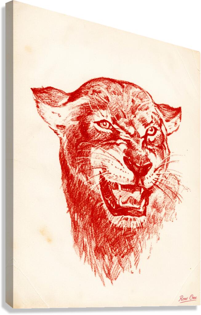 1940s Houston Cougar Art | Row One Canvas Print