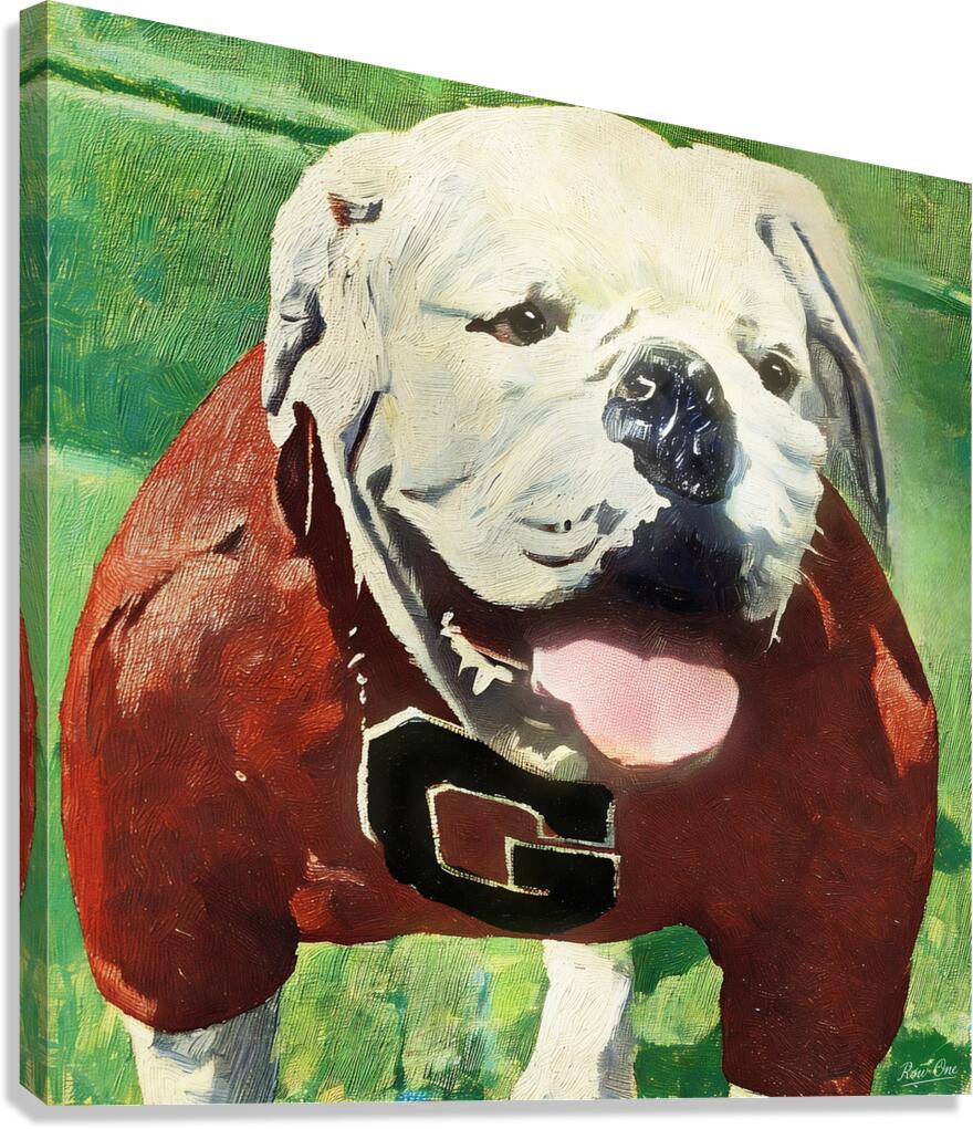 Vintage UGA Bulldog Art | Row One Canvas Print