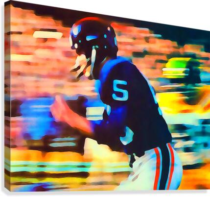 Football Flash  Canvas Print