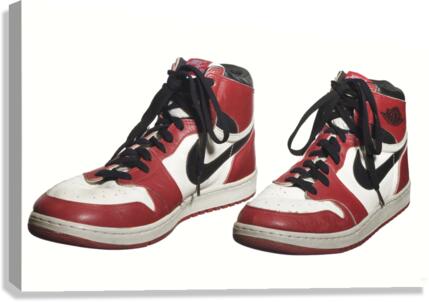 Michael Jordan Game Worn Air Jordan Shoes Art by Row One Brand