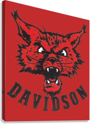 Vintage Davidson Wildcat Art Canvas Print