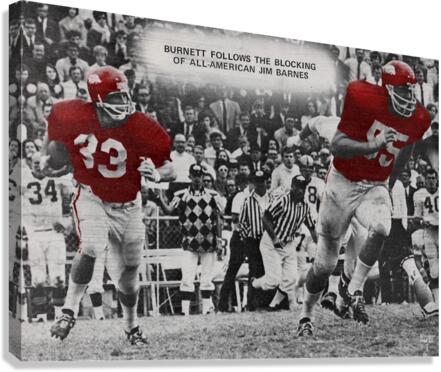 1969 Arkansas Razorbacks Football Art  Canvas Print