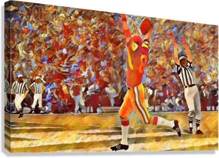 Touchdown Glory Canvas Print