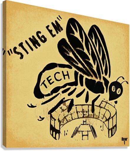 Sting Em Tech Canvas Print