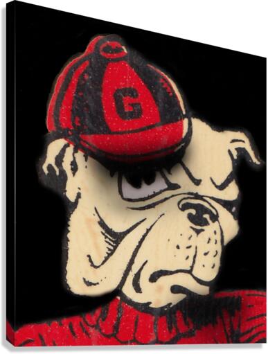 Dawg Close Up Canvas Print