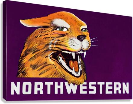 Vintage Northwestern Wildcat Art Canvas Print