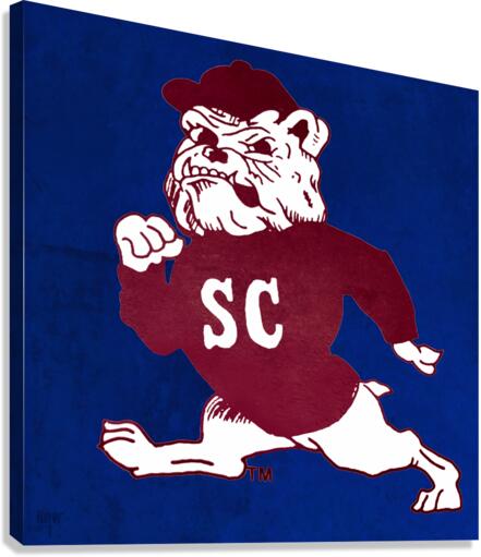 1987 South Carolina State Bulldog Art  Canvas Print