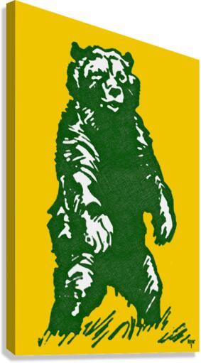 Retro 70s Baylor Bear Illustration Canvas Print