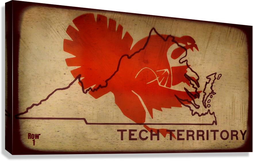 Tech Territory Canvas Print