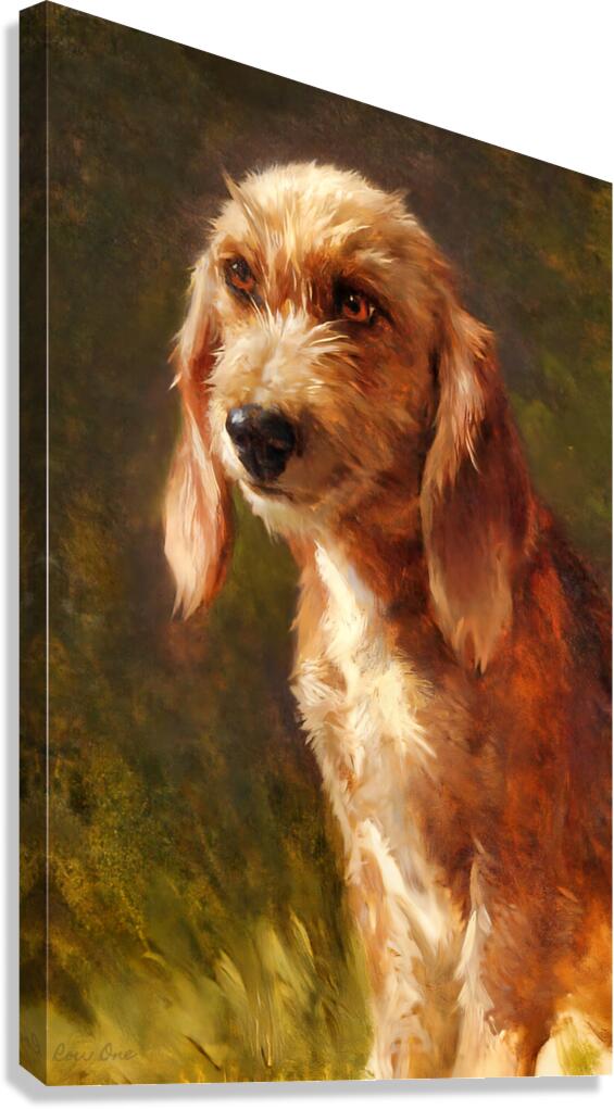 study of a dog rosa bonheur 1860s Canvas Print