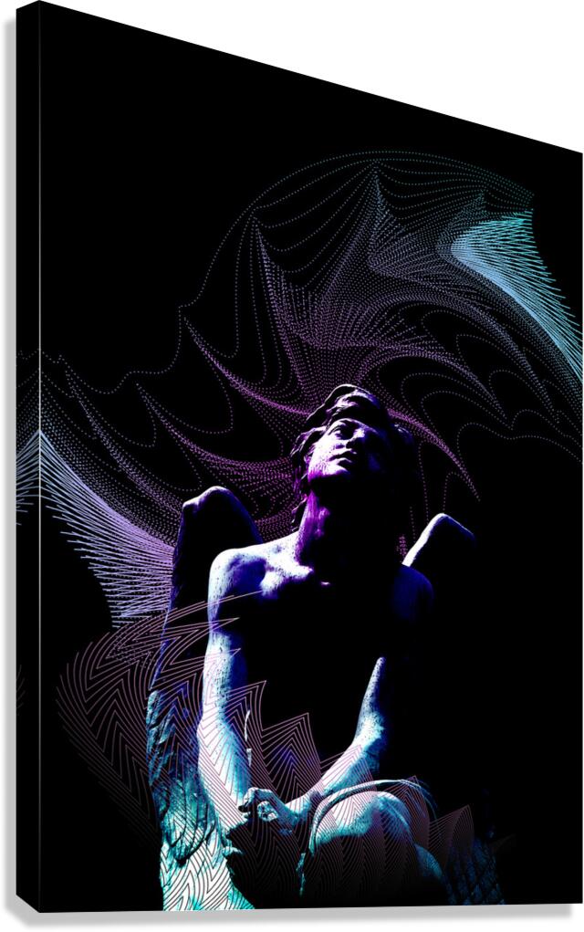 Skybound Canvas Print
