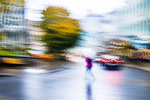 Reflections in the Rain