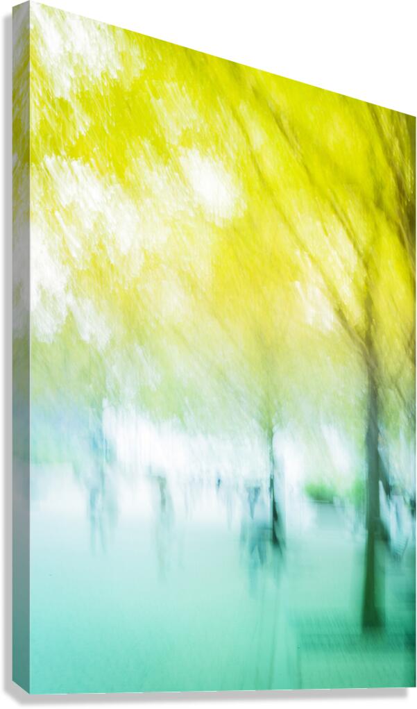 Park Daydream Canvas Print