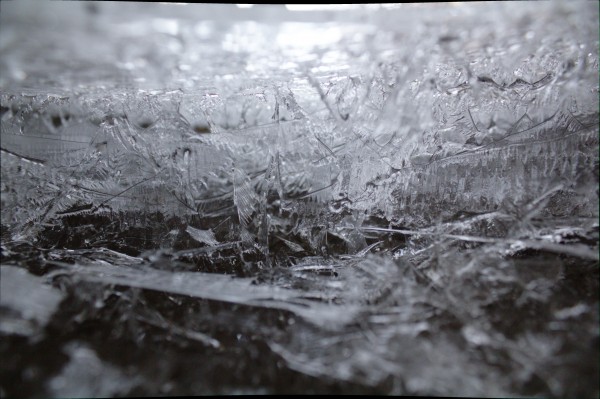 Ice by Wade Anderson