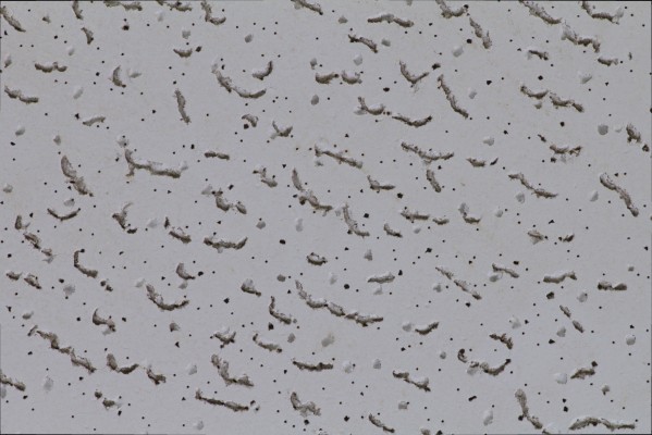 Punctured Print