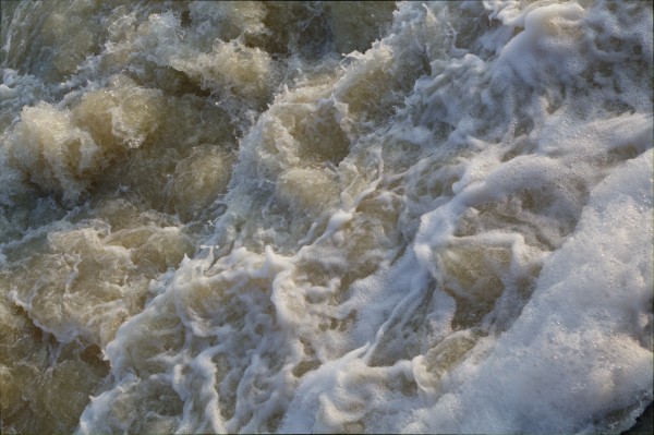 Rapids by Wade Anderson