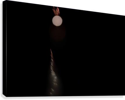 The Being Canvas Print