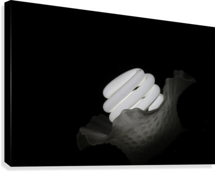 Lit Flower Canvas Print