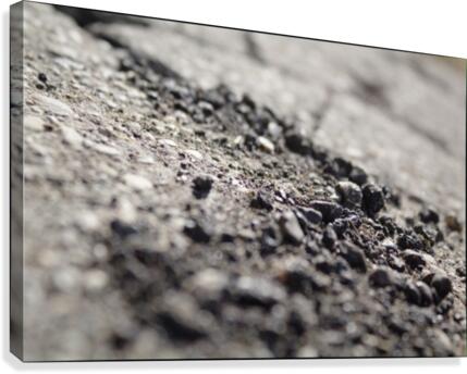 Glacial erratic Canvas Print