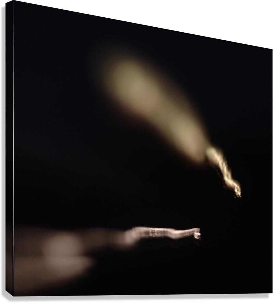 Tunnel Vision Canvas Print
