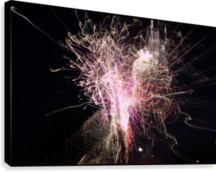 Streamers 2 Canvas Print