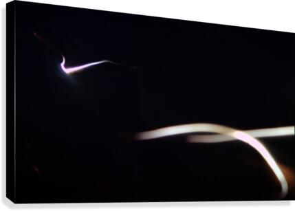 Swoosh Canvas Print